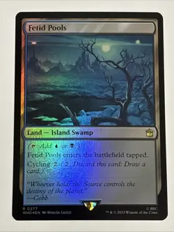MTG Universes Beyond: Doctor Who Fetid Pools Foil 0277 NM Rare - Image 1