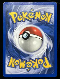 Pokemon - Venusaur Holo - Wizards Of The Coast WotC Black Star Promo #13 - HP - Image 5