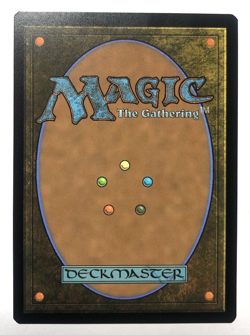 Forest 0266 Wilds Of Eldraine INK MISPRINT FULL ART MTG Magic The Gathering NM - Image 5
