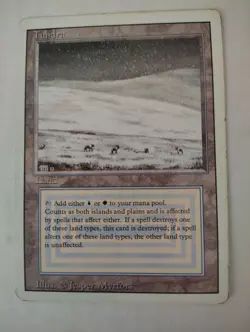 Magic The Gathering Tundra MP - Image 1