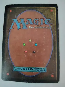 Magic The Gathering Tundra MP - Image 2