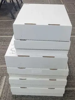 Pokemon Cards Bulk Lot 1000 Unique Cards - Commons and Uncommons No Energies! - Image 2