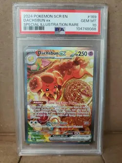 Dachsbun ex Stellar Crown Special Illustration Rare #169 PSA 10 Gem Mint Pokemon - Image 3