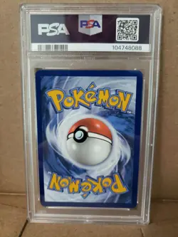 Dachsbun ex Stellar Crown Special Illustration Rare #169 PSA 10 Gem Mint Pokemon - Image 4