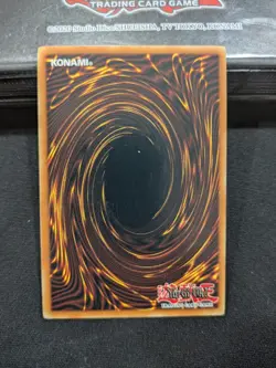 Five-Headed Dragon SD09-ENSS1 Structure Deck: Dinosaur's Rage Limited Edition LP - Image 2