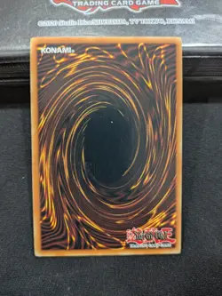 Five-Headed Dragon SD09-ENSS1 Structure Deck: Dinosaur's Rage Limited Edition LP - Image 4