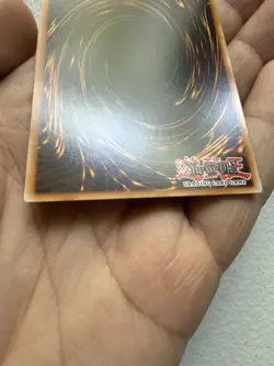 Yugioh TCG! Blue-Eyes White Dragon OP28-EN001 Ultimate Rare NM - Image 13