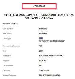PSA 10 Pikachu 10TH Anniversary-NAGOYA 101/DP-P Promo Pokemon Card Japanese - Image 3