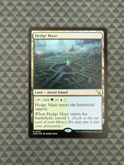 MTG Hedge Maze #0262 Rare Murders at Karlov Manor (MKM)  - Image 1