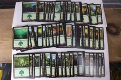 MTG Magic the Gathering 625 Card Lot Basic Lands Plains Forest Swamp Mixed E7 - Image 10