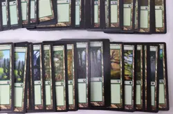 MTG Magic the Gathering 625 Card Lot Basic Lands Plains Forest Swamp Mixed E7 - Image 11