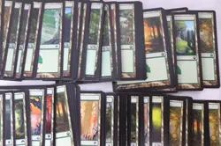 MTG Magic the Gathering 625 Card Lot Basic Lands Plains Forest Swamp Mixed E7 - Image 13