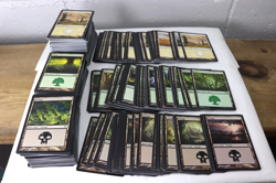 MTG Magic the Gathering 625 Card Lot Basic Lands Plains Forest Swamp Mixed E7 - Image 15