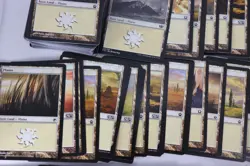 MTG Magic the Gathering 625 Card Lot Basic Lands Plains Forest Swamp Mixed E7 - Image 17