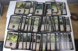 MTG Magic the Gathering 625 Card Lot Basic Lands Plains Forest Swamp Mixed E7 - Image 6