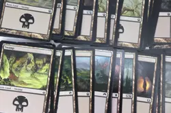 MTG Magic the Gathering 625 Card Lot Basic Lands Plains Forest Swamp Mixed E7 - Image 8