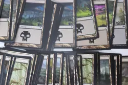 MTG Magic the Gathering 625 Card Lot Basic Lands Plains Forest Swamp Mixed E7 - Image 9