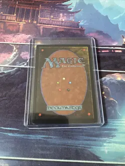 Shallow Grave Mirage Regular - Image 4