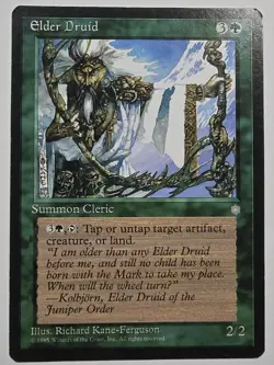 Elder Druid Ice Age Regular - Image 3