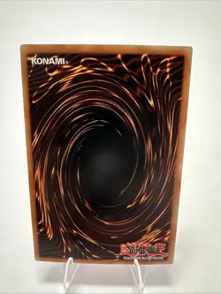 Dragon's Rage - SD1-EN024 1st Edition - YuGiOh - Image 2