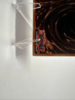 Red-Eyes B. Chick YuGiOh 1st Edition Trading Card SD1-EN007 - Image 11