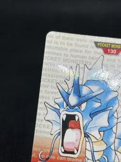 Magikarp No. 129 Gyarados No. 130 Carddass 1996 Red BANDAI Pokemon Card Japanese - Image 15