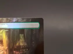 Overgrown Tomb (Borderless) Ravnica: Clue Edition Foil 278 - Image 13