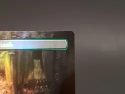 Overgrown Tomb (Borderless) Ravnica: Clue Edition Foil 278 - Image 3