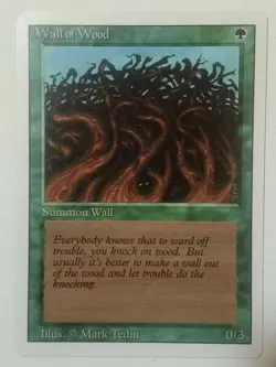 Wall of Wood Revised Edition Regular - Image 1