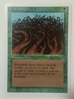 Wall of Wood Revised Edition Regular - Image 3