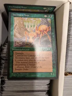 MTG | 4-Row Box Vintage Bulk | Tempest, Mirage, Visions, Alliances etc | LP/MP - Image 14
