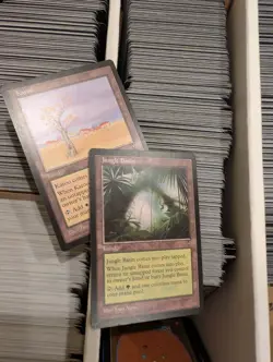 MTG | 4-Row Box Vintage Bulk | Tempest, Mirage, Visions, Alliances etc | LP/MP - Image 17