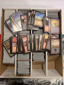 MTG | 4-Row Box Vintage Bulk | Tempest, Mirage, Visions, Alliances etc | LP/MP - Image 2