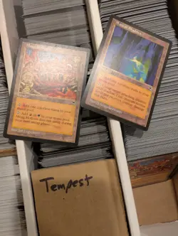 MTG | 4-Row Box Vintage Bulk | Tempest, Mirage, Visions, Alliances etc | LP/MP - Image 20