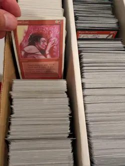 MTG | 4-Row Box Vintage Bulk | Tempest, Mirage, Visions, Alliances etc | LP/MP - Image 6
