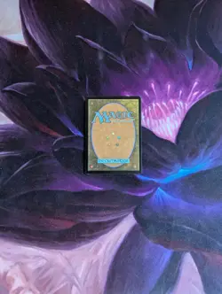 Wanderwine Prophets Lorwyn Regular - Image 5