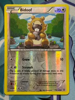 Bidoof - 116/160 - XY Primal Clash - Reverse Holo - Pokémon TCG - Image 7