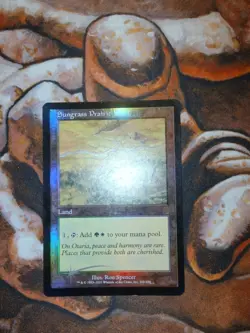 FOIL Sungrass Prairie Odyssey MTG Magic the Gathering 1st Edition - Image 3