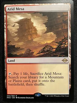 Arid Mesa - Near Mint - Modern Horizons 2 - Magic the Gathering - Image 2
