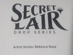 MTG ​​​Secret Lair Drop Artist Series Rebecca Guay Sealed 4 card set SDCC NEW - Image 6