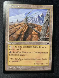 MTG Tempest Wasteland (LP) - Image 1