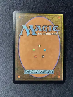 MTG Tempest Wasteland (LP) - Image 2