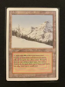 MTG Taiga Revised Edition Dual Land LP Magic the Gathering - Image 1