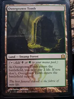 Overgrown Tomb Return to Ravnica Regular - Image 1