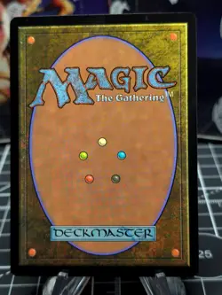 FOIL - Finneas, Ace Archer - FOIL SHOWCASE - Bloomburrow - NM MTG - Image 4