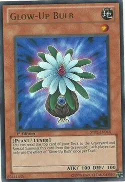 Glow-Up Bulb - STBL-EN018 - Ultra Rare - 1st Edition Lightly Played - Yu-Gi-Oh - Image 1
