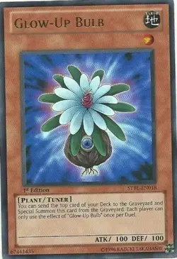 Glow-Up Bulb - STBL-EN018 - Ultra Rare - 1st Edition Lightly Played - Yu-Gi-Oh - Image 2