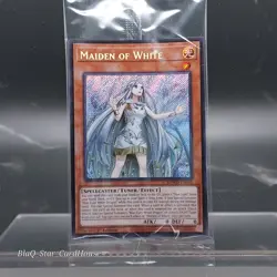 YUGIOH! New Blue-eyes Complete Deck Core SDWD 117 CARDS!!! NM + Extra Deck - Image 3