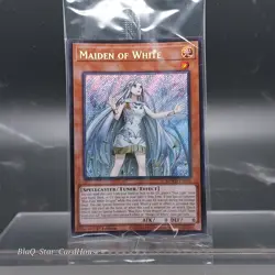 YUGIOH! New Blue-eyes Complete Deck Core SDWD 117 CARDS!!! NM + Extra Deck - Image 6