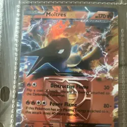 Pokemon Cards EX lot 9 Shiny Holo (Charizard, Reshiram, Ho-Oh, Entei, Moltres) - Image 9